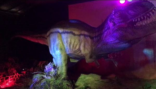 仿真霸王龍-恐龍主題公園視頻展示