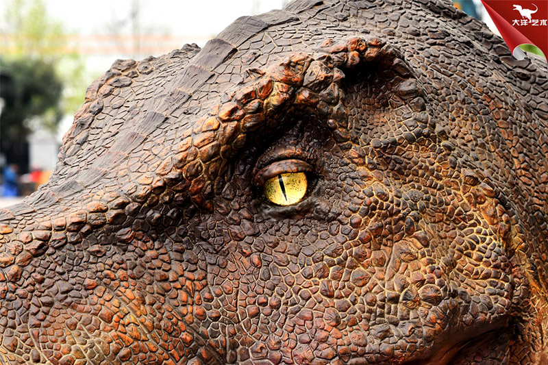 仿真恐龍，霸王龍龍頭模型