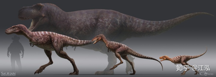 霸王龍一生分為21個階段，其中兩個階段最為關(guān)鍵！