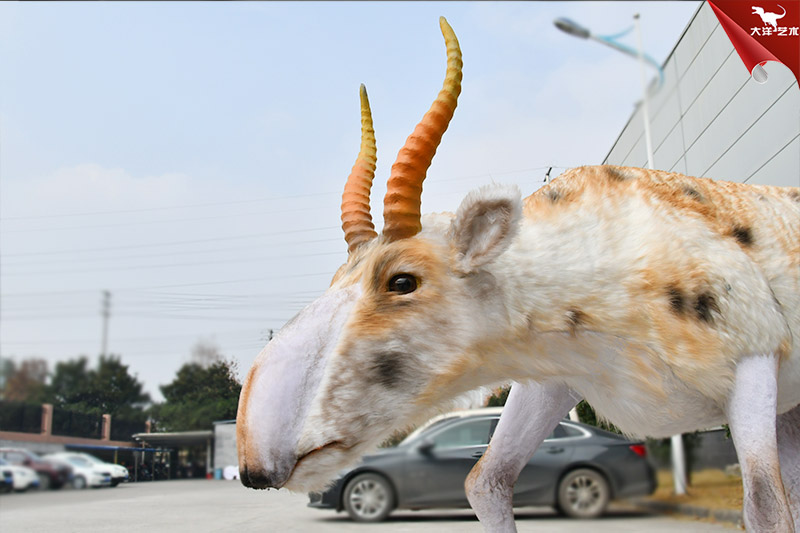 仿真動(dòng)物模型 高鼻羚羊模型