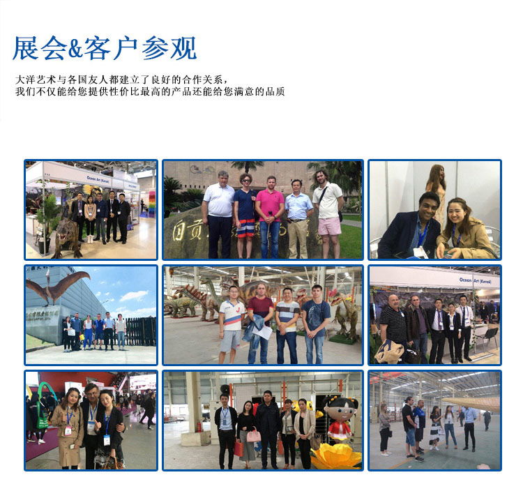 大洋恐龍服，恐龍服案例